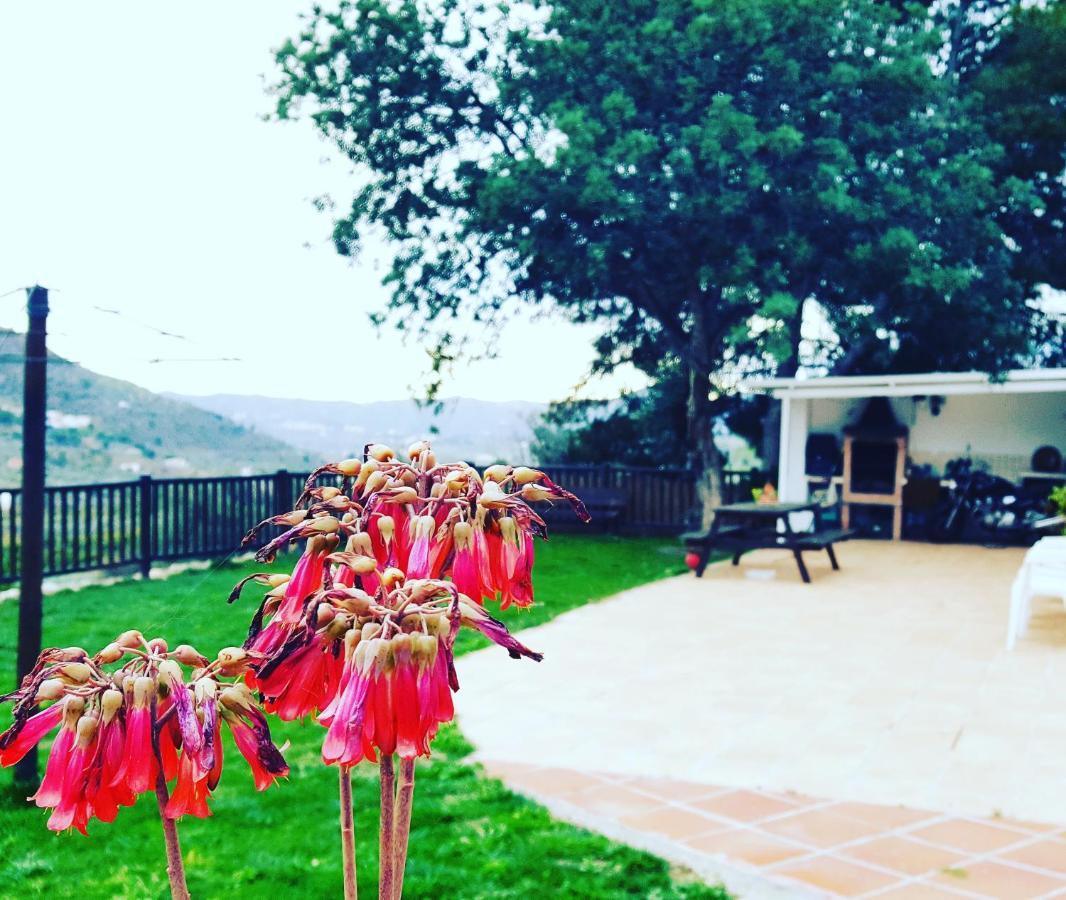 Casa Molina Villa อัลเกาซิน ภายนอก รูปภาพ